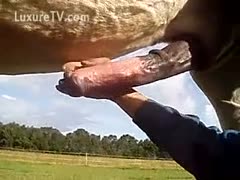 A guy uses a horse's penis, which is as large as a baseball bat, to play.